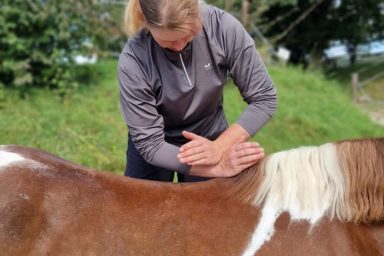 Chiropraktik & Dorntherapie