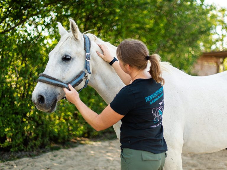Stresspunktmassage, Stresspunktbehandlung am Pferd