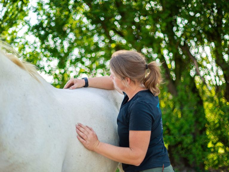 Chiropraktische Behandlung am Pferd, Palpation der Wirbelkörper